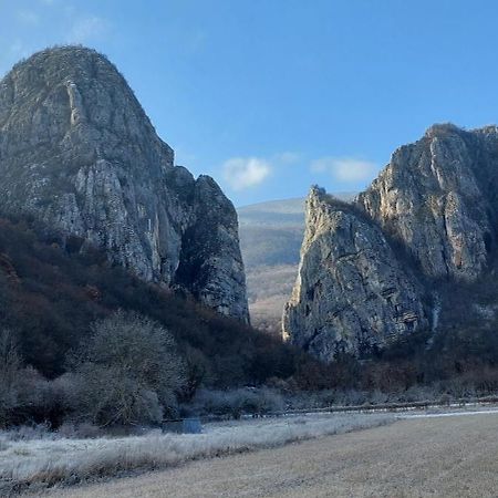 Golemi Kamik Pirot Vlasi Kültér fotó
