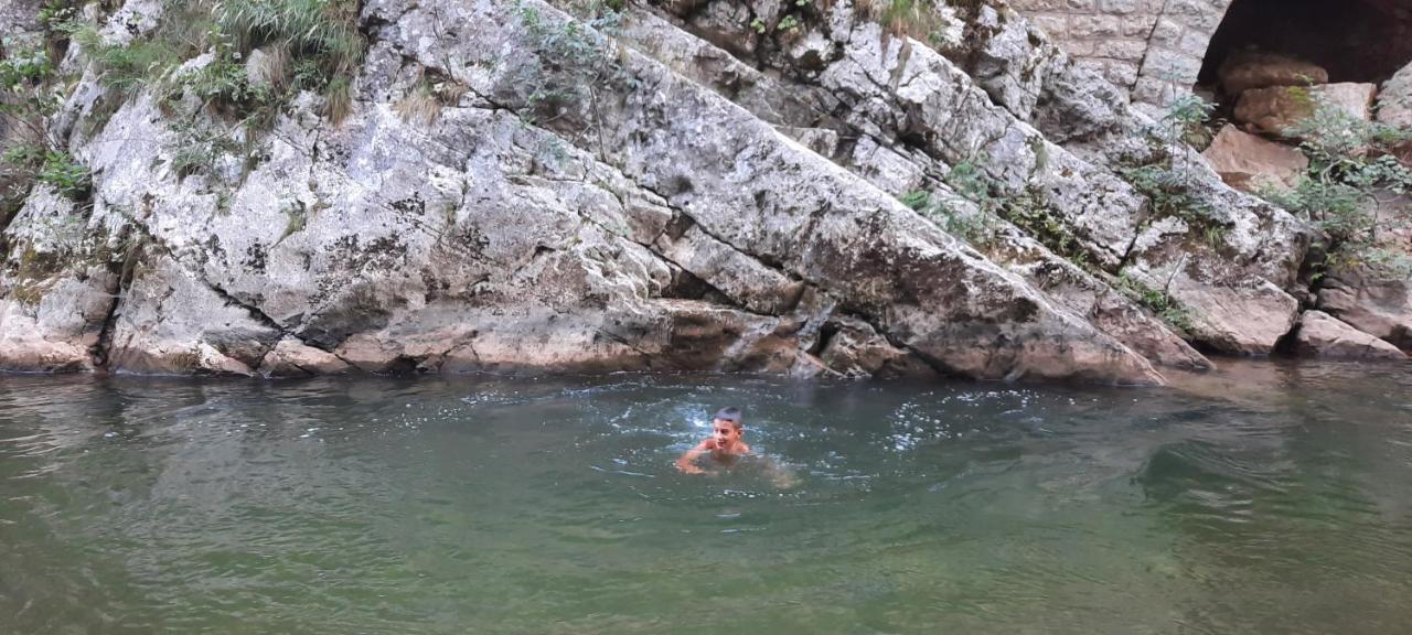 Golemi Kamik Pirot Vlasi Kültér fotó
