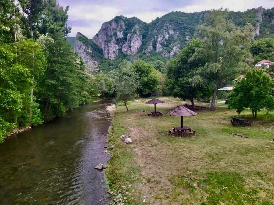 Golemi Kamik Pirot Vlasi Kültér fotó